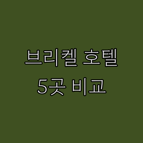 마이애미 브리켈 호텔 추천 5곳 위치..