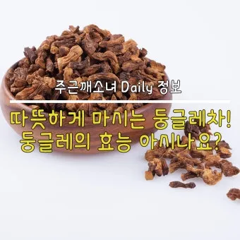 둥글레차 효과 건강에 좋은 차 효능 정리_23