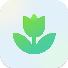 식물 이름 찾기 어플, 어플 다운로드 하고 식물이름 찾기