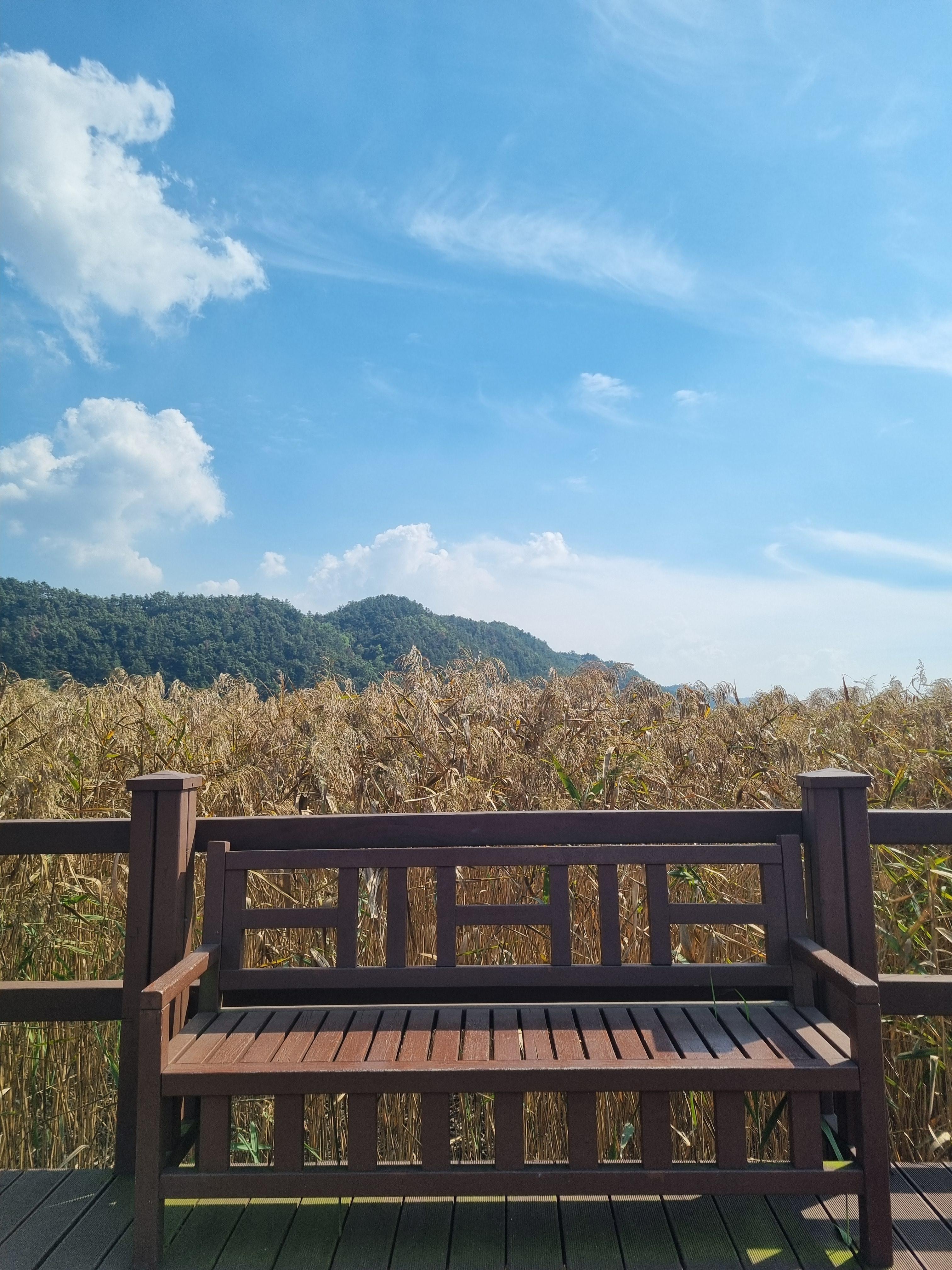 순천만습지