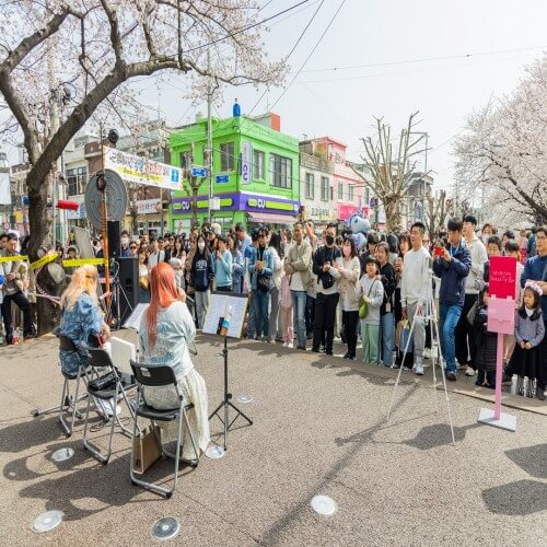 2024년 진해 군항제 및 벚꽃 개화시기