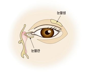 눈물관과 눈물샘