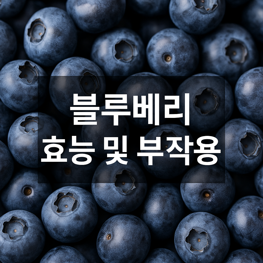 블루베리 효능 부작용