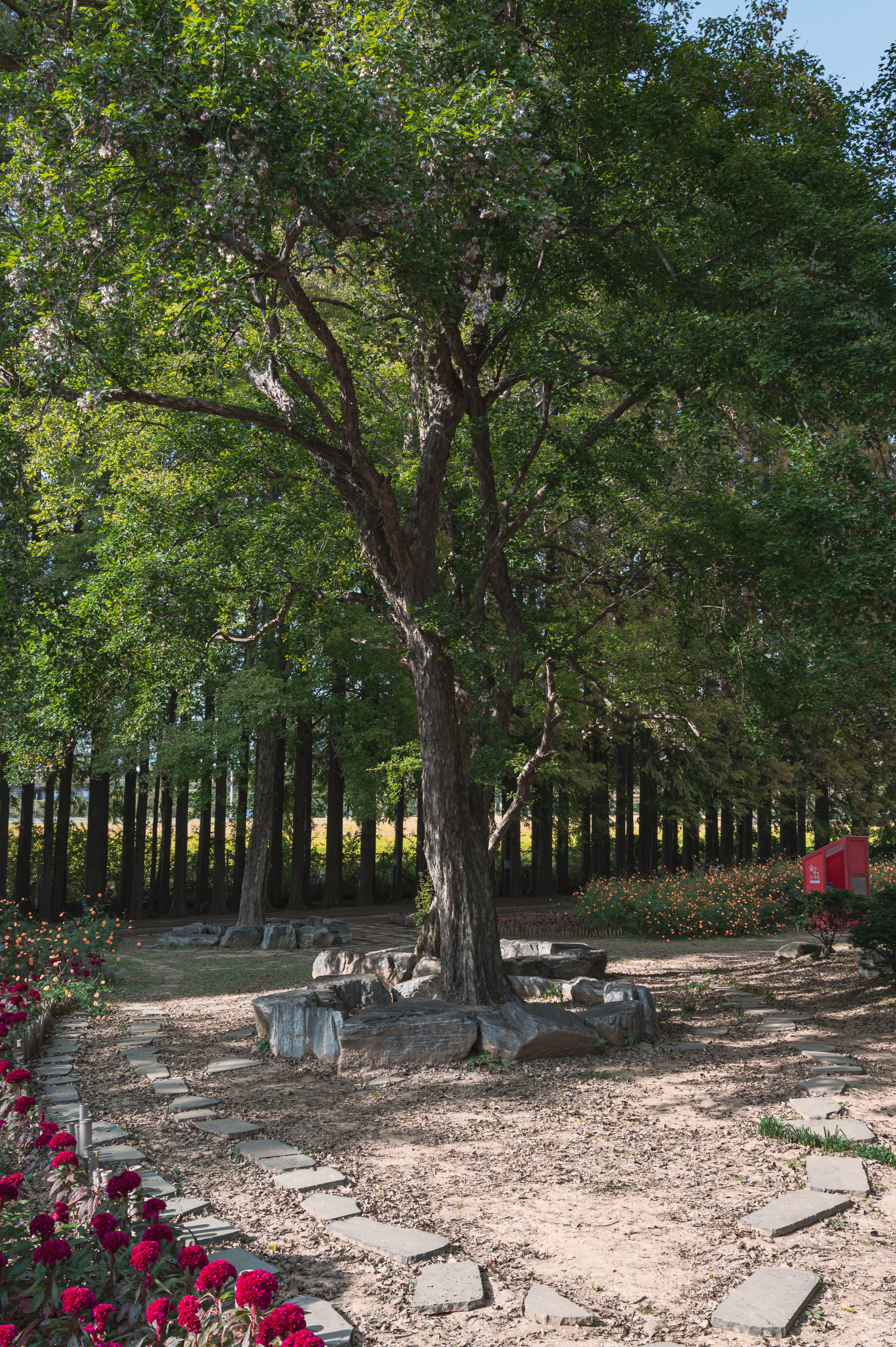 ์๊ฐํ ์ ์