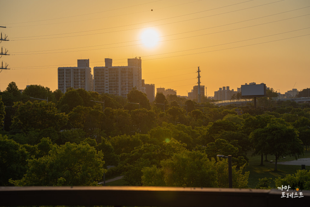 양화 한강공원 일몰