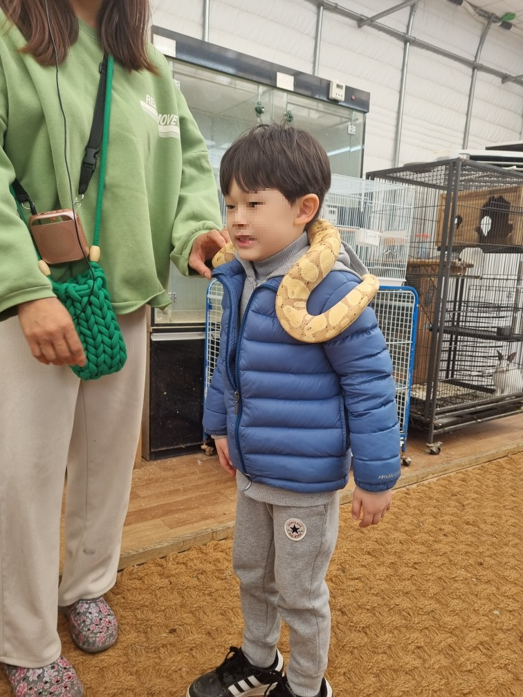 체험