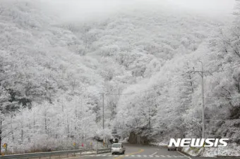 강원도 날씨 예보 주간 예보 실시간 날씨 CCTV로_6
