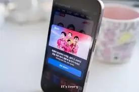 월드컵