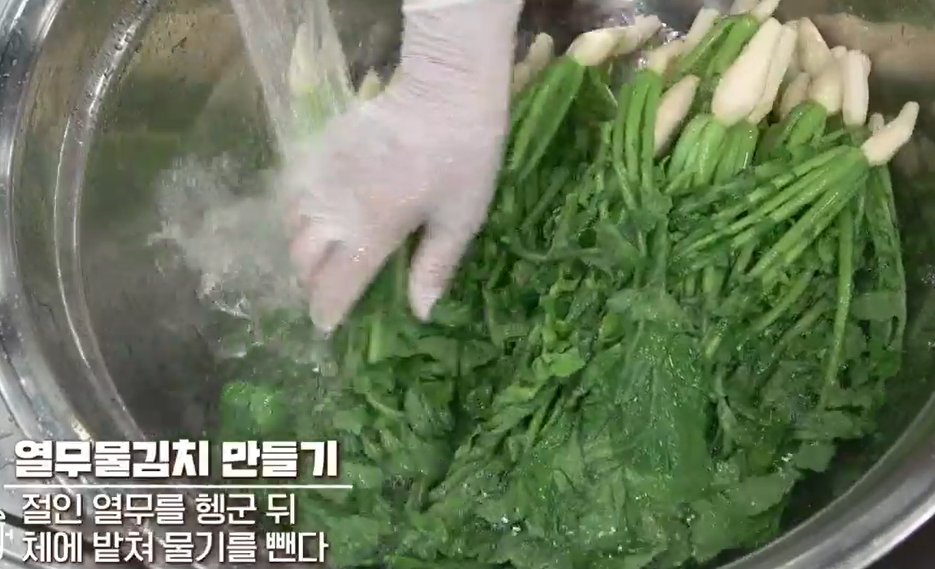 열무물김치담그는법