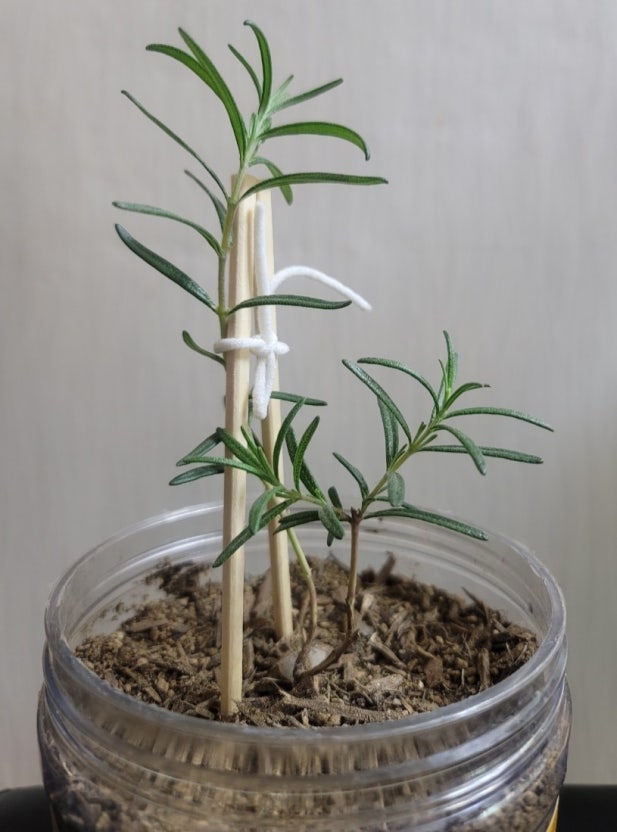 플로개 블로그 완전 정복