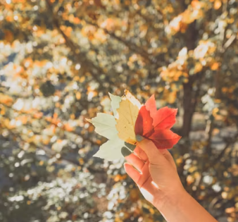 이석증 증상 후유증 원인 예방치료방법