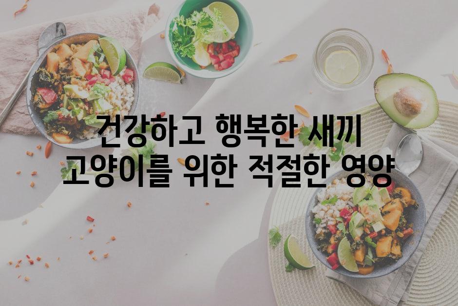 건강하고 행복한 새끼 고양이를 위한 적절한 영양