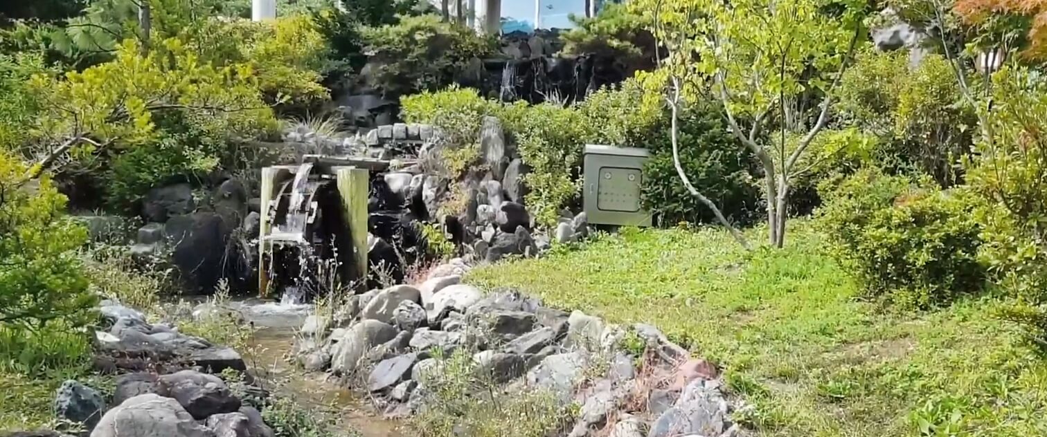 한국자연사박물관