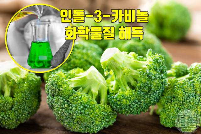 해독에 좋은 음식 브로콜리