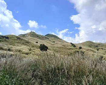 황매산 억새축제_4