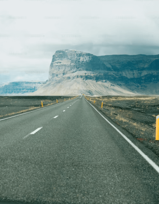 캐롯여행자보험 50%할인