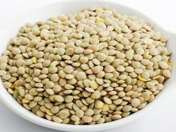 콩과 콩류(3)