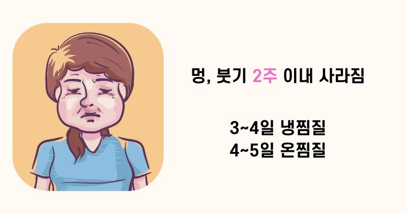 수술 후 회복 기간