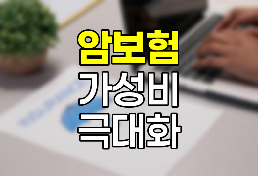 암보험 가성비 극대화 전략, 현명한 가입 방법