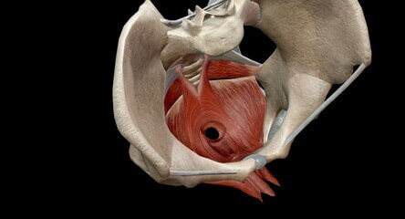 항문거근증후군 원인, 증상, 치료, 예방법을 참고하시기 바랍니다.