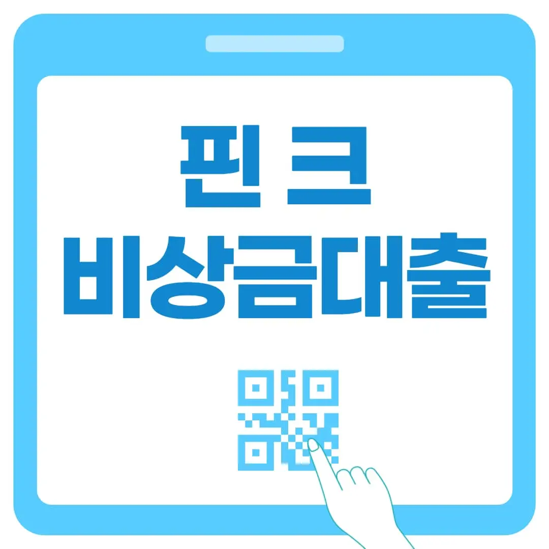 핀크 비상금대출