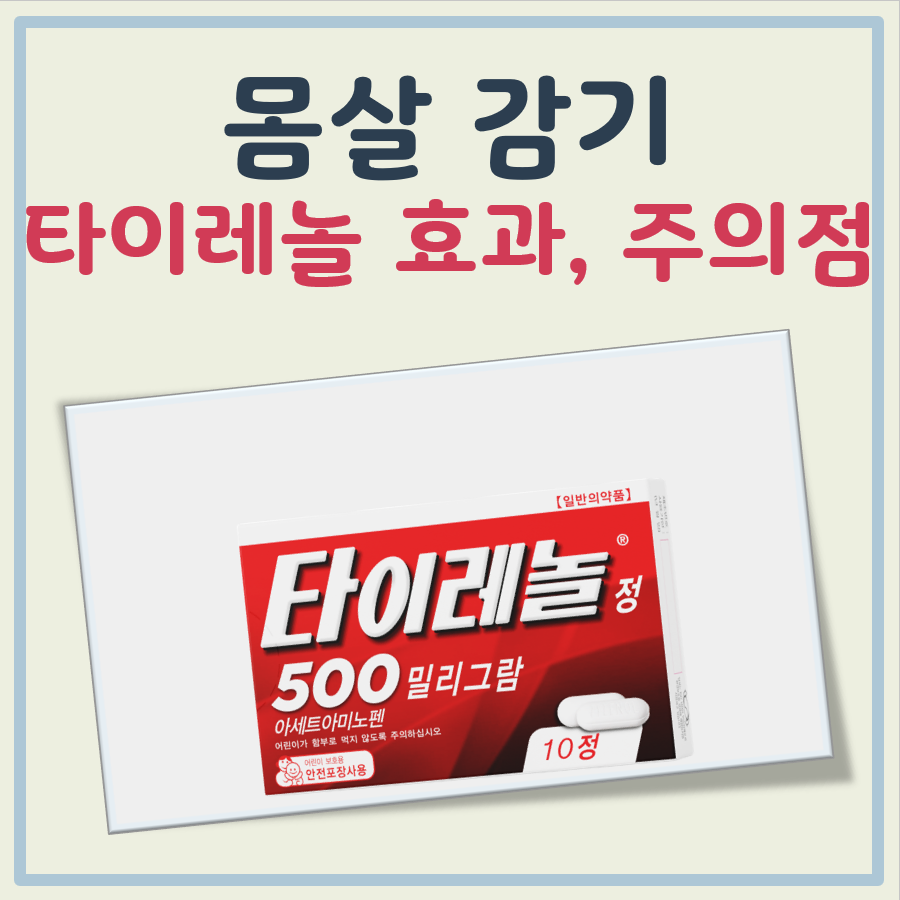 몸살 감기 타이레놀
