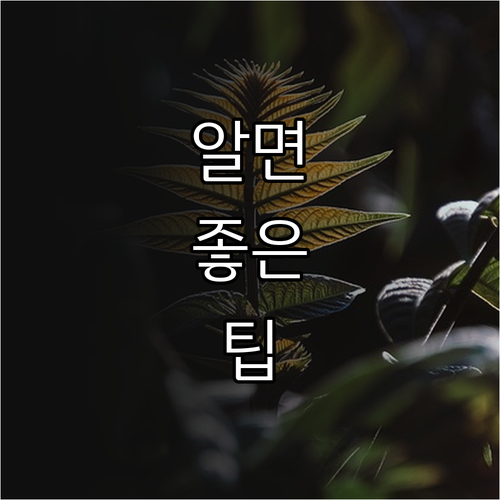 전북 농업인 2025 논농업 지원사업..