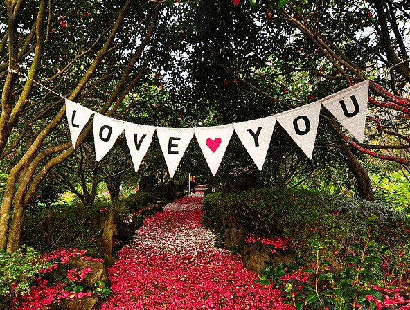 카멜리아힐-동백꽃길