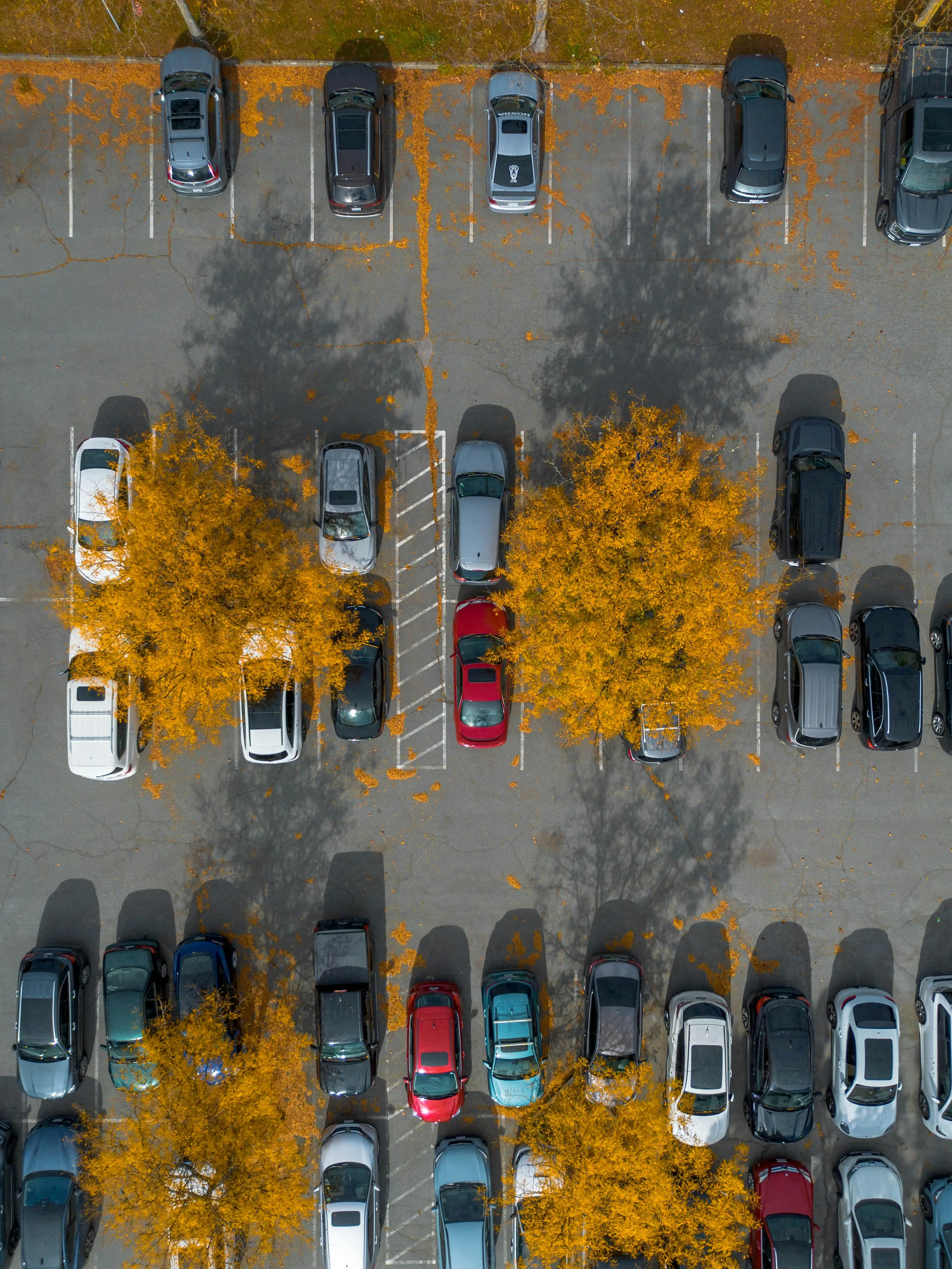 초보운전자 주차 꿀팁 완벽 가이드