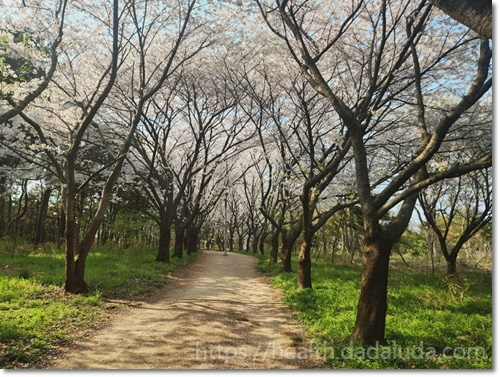 영종도 둘레길 1코스 건강백년길 주차장