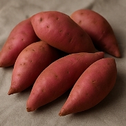 고구마 보관하는법