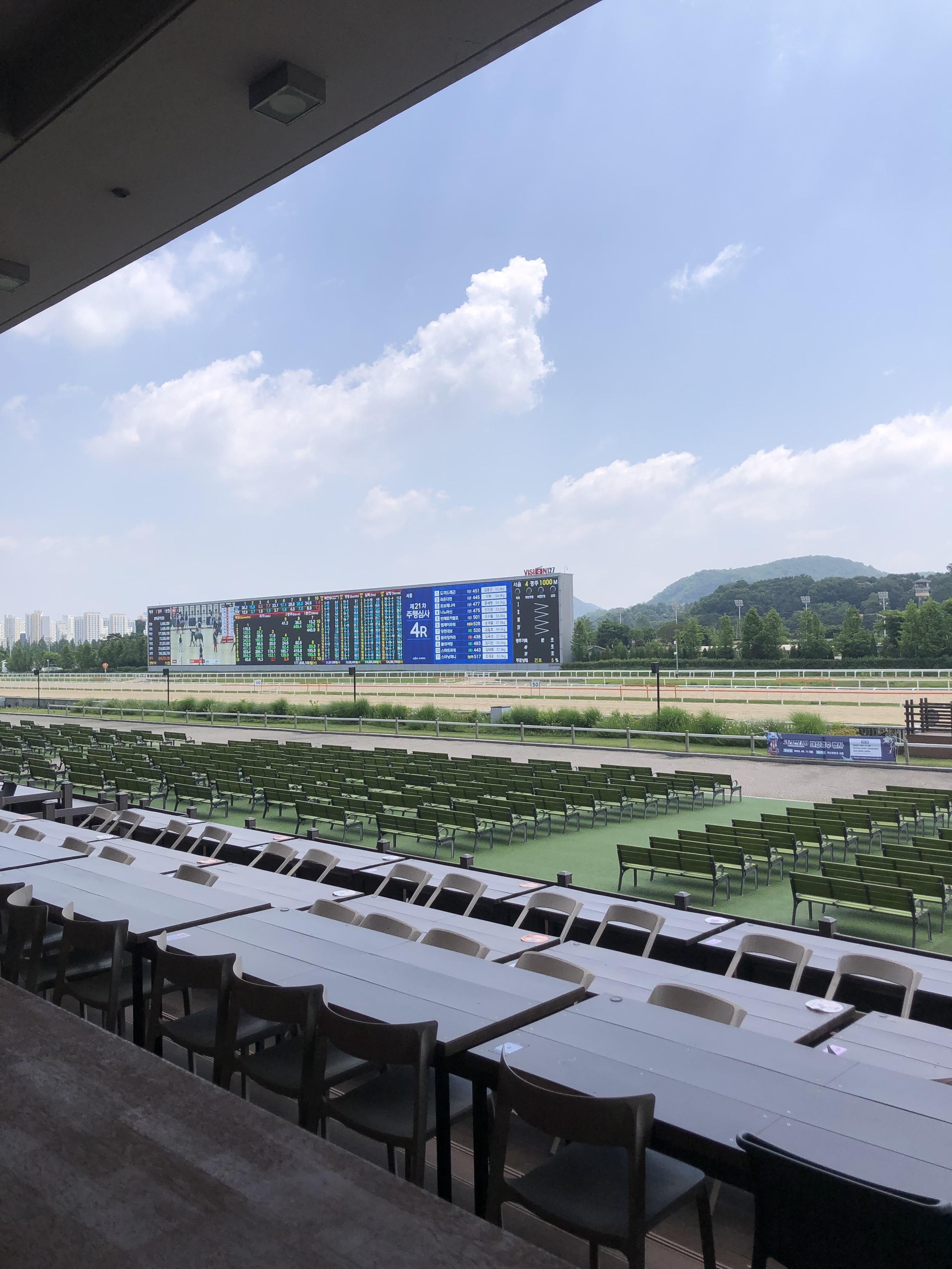 경마공원 렛츠런파크 사진