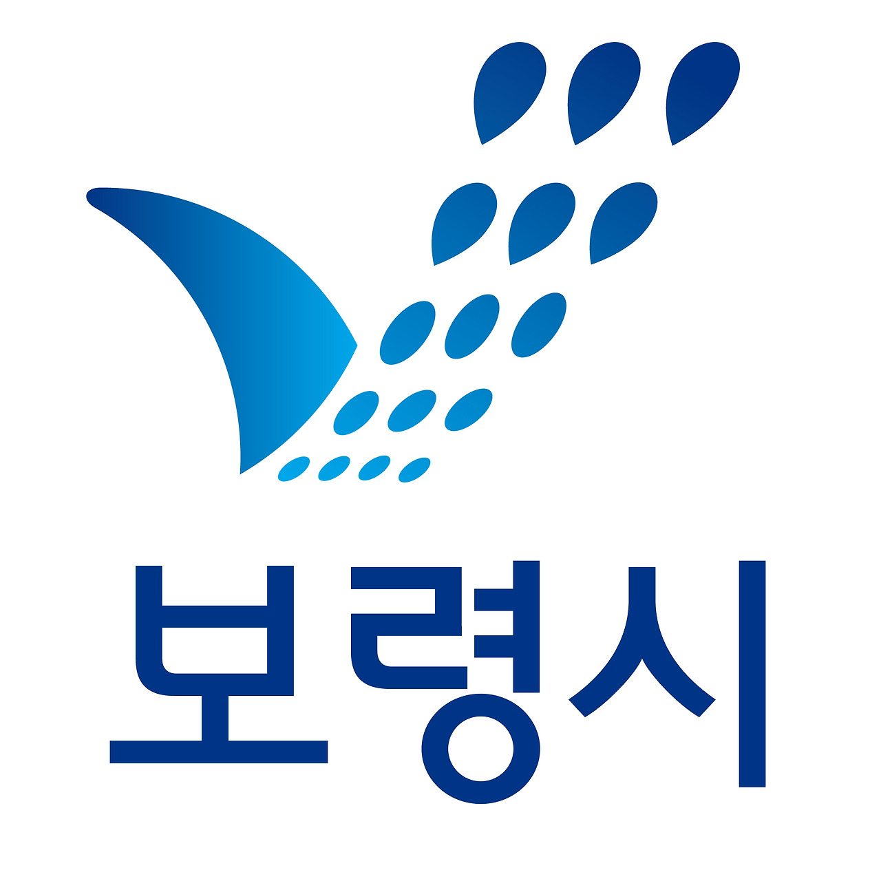 보령시청 홈페이지