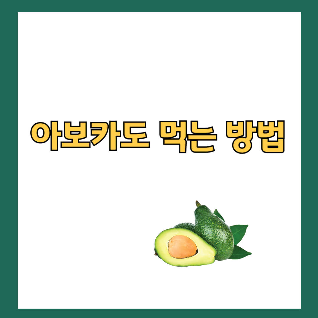 아보카도 먹는 방법