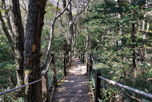 성판악38