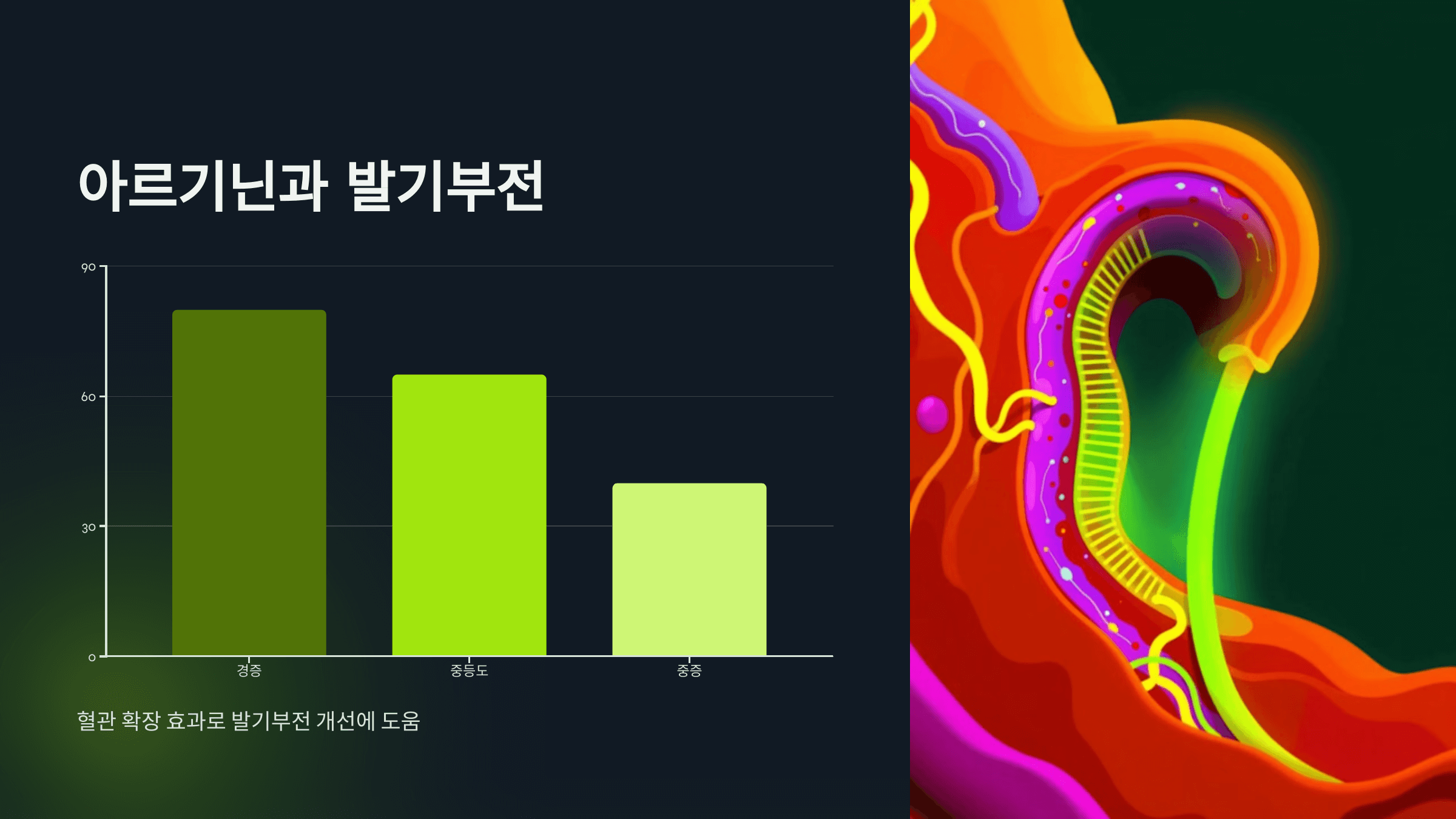 아르기닌과 관련된 사진입니다.