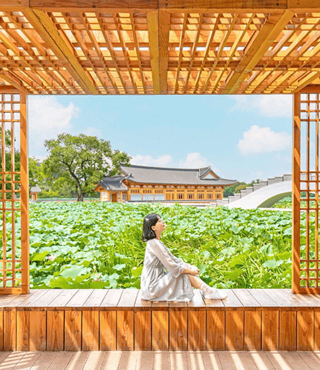 전주 덕진공원 연꽃5