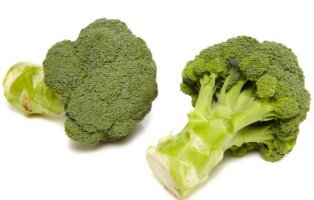 유방암에 좋은 음식