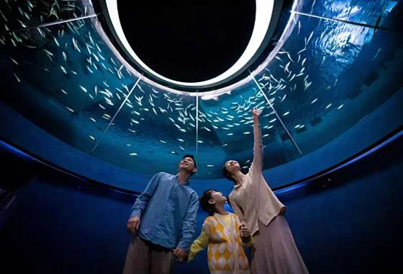 대구아쿠아리움