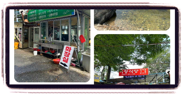 백반기행 함양 다슬기전 다슬기탕 후기