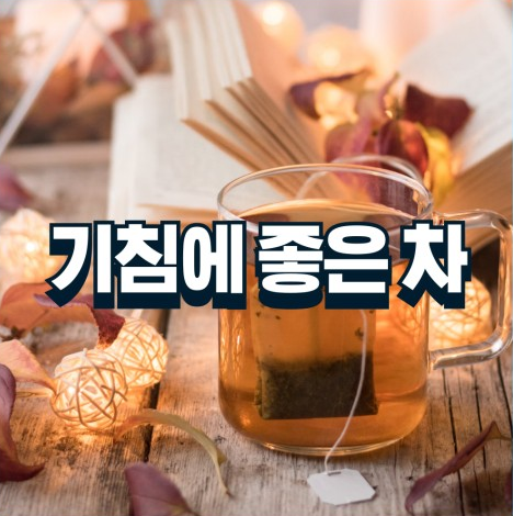 기침에좋은차 기관지에 좋은 차 기침 가래에 좋은차