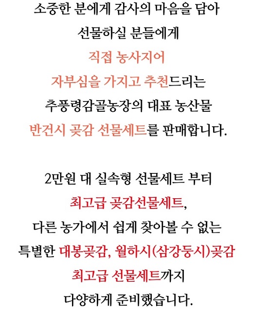 충북-영동-반건시-곶감