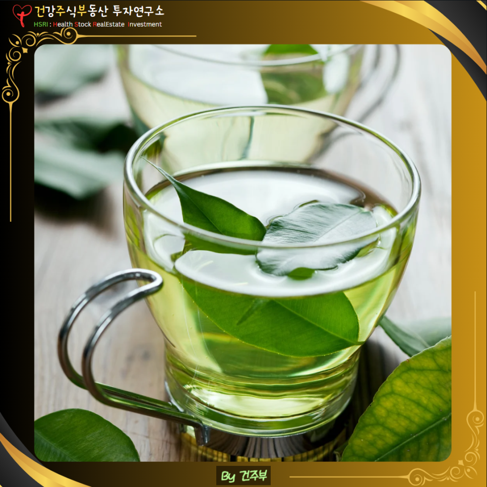 녹차 카테킨 효능과 부작용 그리고 섭취방법

(글 그림 : 건주부, 그림 출처 : Canva)