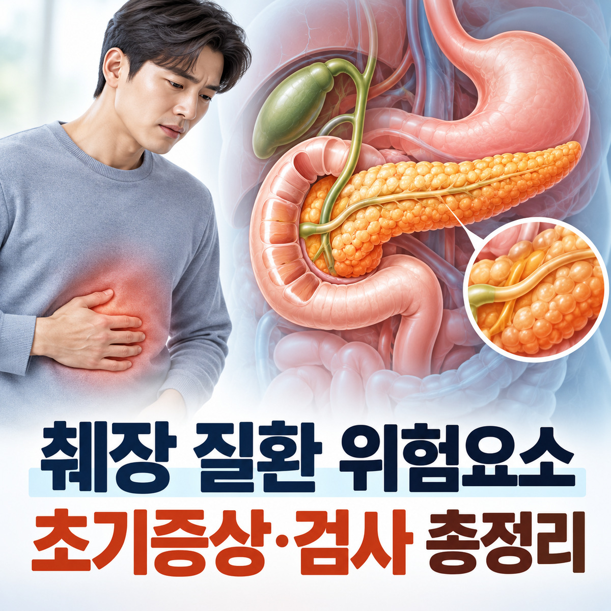 윗배를 잡고 있는 사람 옆에 위와 췌장, 담낭과 십이지장을 보여주는 교육용 일러스트 표지