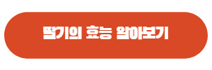 딸기