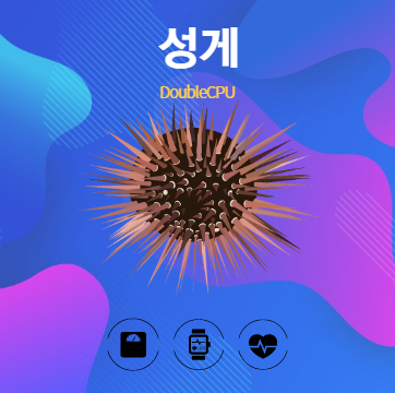 성게 알아보기