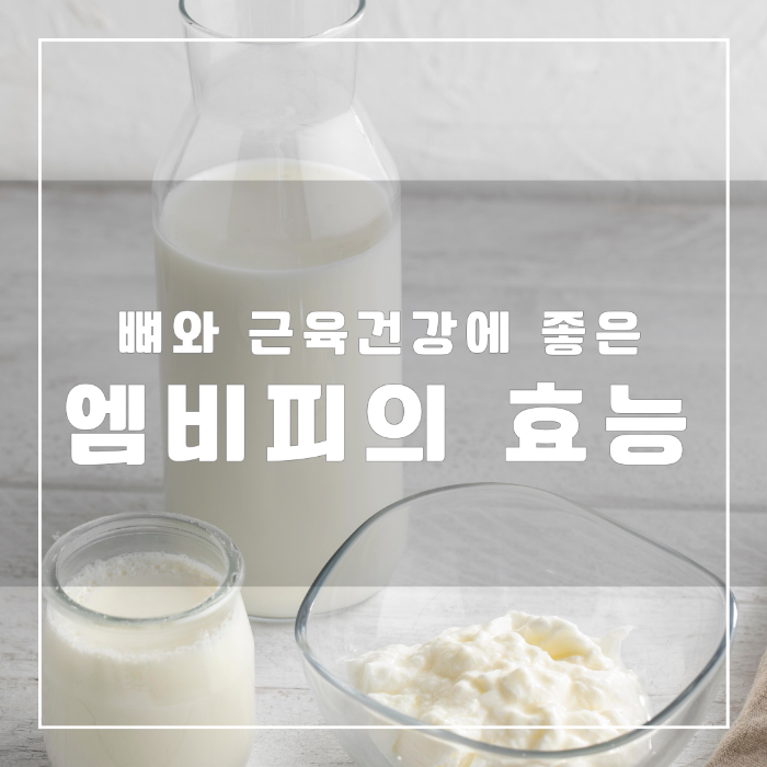 엠비피(Milk Basic Protein)의 효능