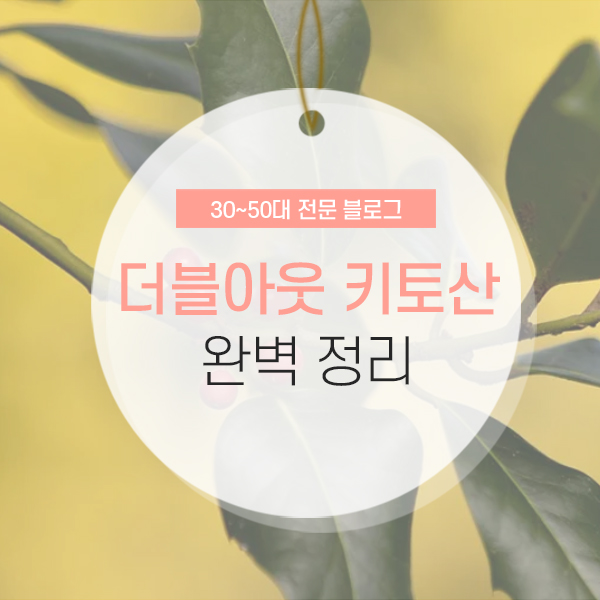 더블아웃 키토산 밀크씨슬헬퍼 완벽 정리