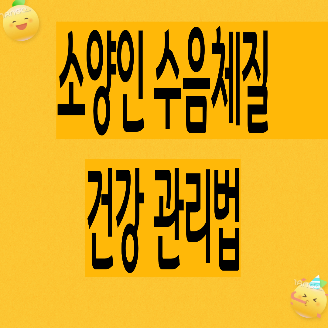 소양인 수음체질 건강관리법(소양인 수음체질 ? ,면역력,계절별 건강관리 +음식궁합)