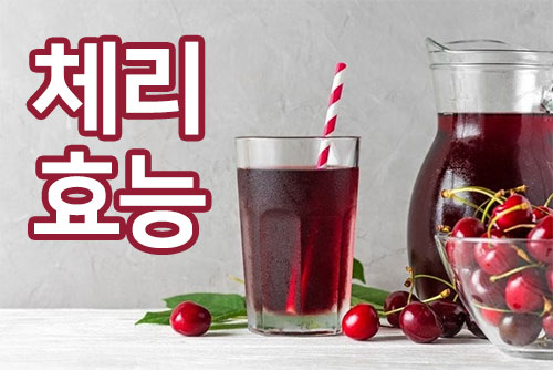체리 효능